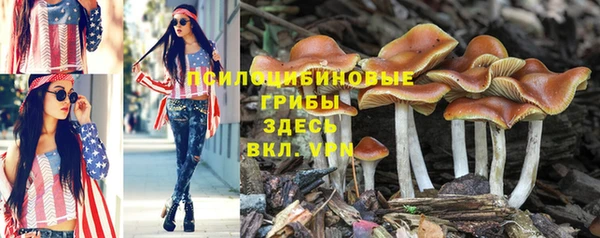 СК Чердынь