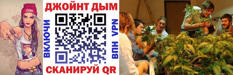как найти наркотики  ОМГ ОМГ ССЫЛКА  Каннабис SATIVA & INDICA  Приволжский 